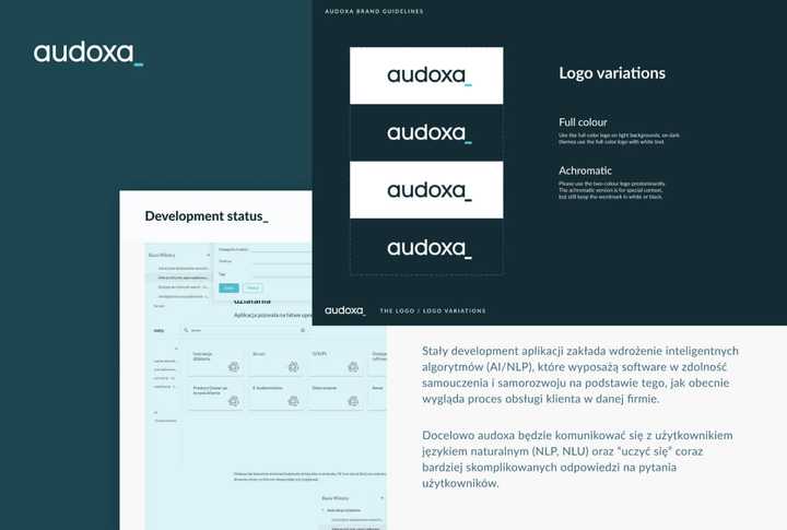 Audoxa application created by Peak11 Custom Software House